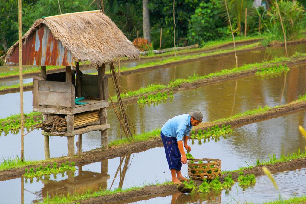 Отель Bali Bening Мундук Экстерьер фото